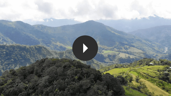 shop colombia emeralds